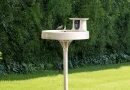 Birdfy Bath Pro Redefines Smart Backyard Birdwatching