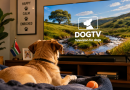 DOGTV offers streaming television designed specifically for dogs